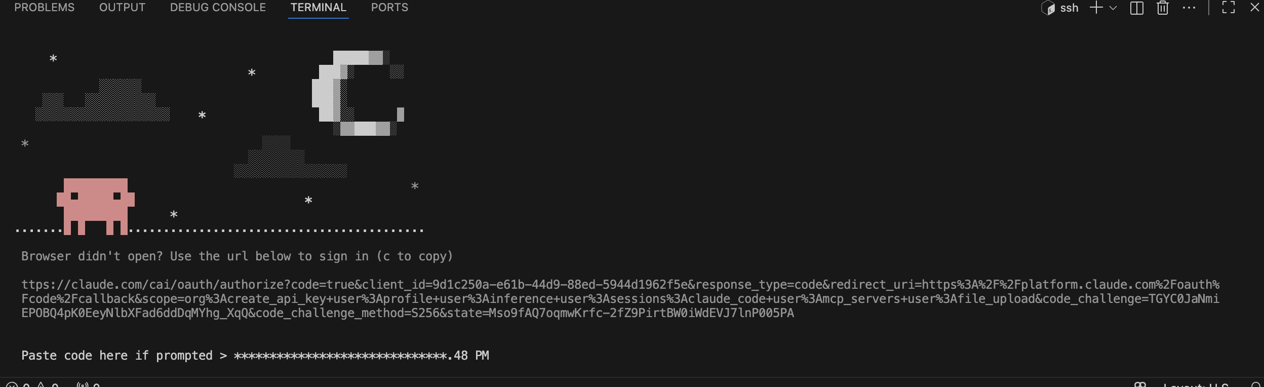 The authentication code pasted into the terminal prompt